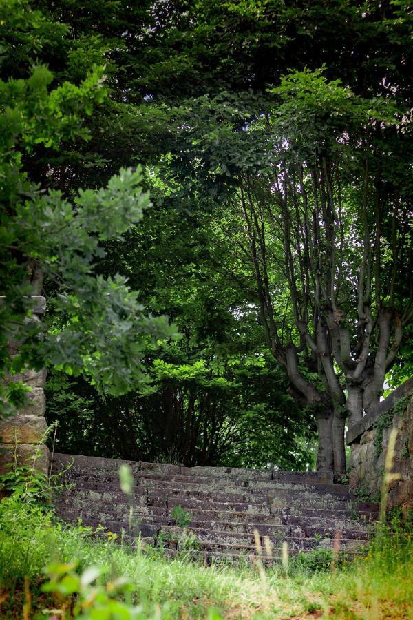 Haus Seeblick Dippoldiswalde Luaran gambar